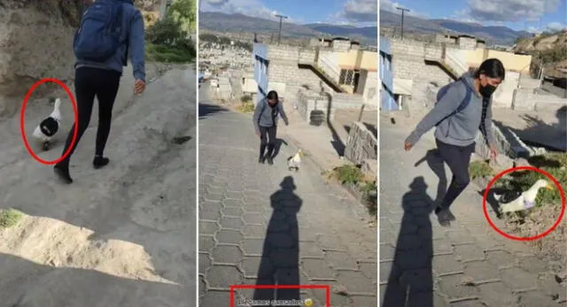 La joven fue captada caminando junto a su pato con mochila y se volvió viral en TikTok.