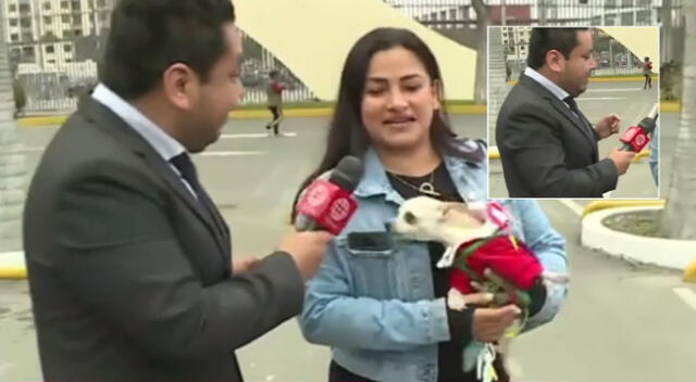 Reportero de América fue sorprendido por una mascota durante Elecciones 2022.
