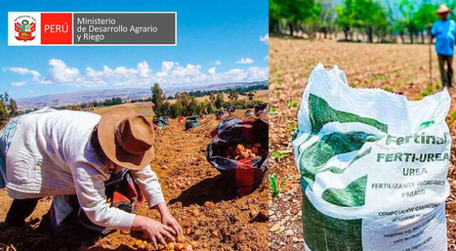 Midagri garantiza el abastecimiento de fertilizantes para los próximos tres meses.