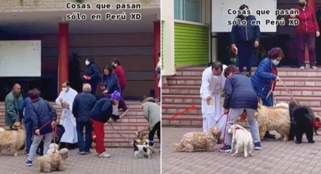 Los vecinos no dudaron en llevar a sus mascotas a la iglesia para que sean bautizadas y se vuelven virales en TikTok.