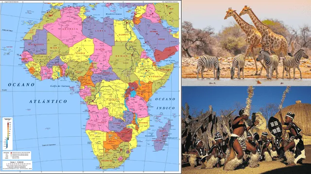 La fauna de áfrica presenta animales salvajes como leones, cebras y jirafas.
