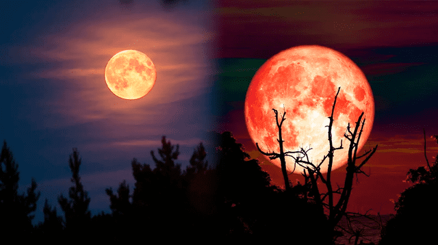 Conoce todo lo que tienes que saber sobre la Luna del Cazador