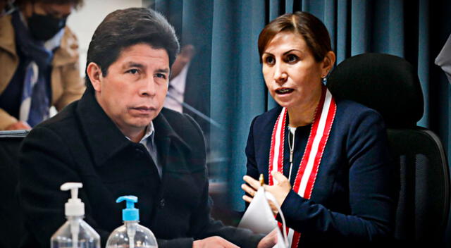 Pedro Castillo podría salir del cargo si Patricia Benavides presenta denuncia Constitucional
