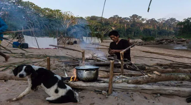 Encuentro Global por el Clima, la Amazonía y los Bosques Tropicales.