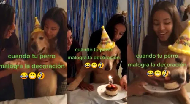 De una bocado se comió la torta.