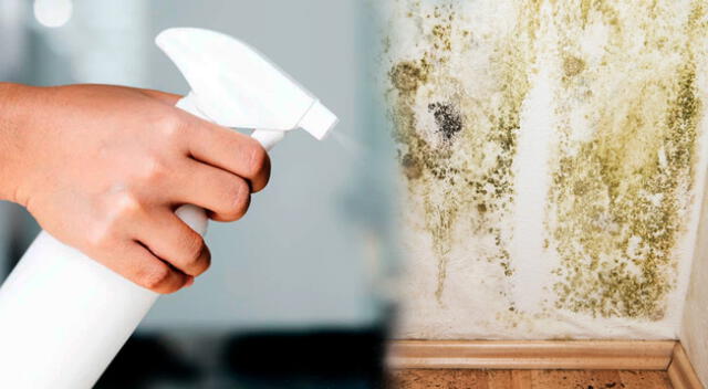 Trucos caseros para eliminar la humedad de las paredes