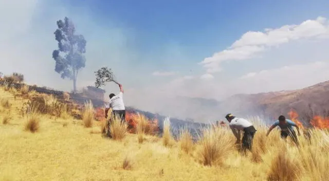 Cabe señalar que el hecho ocurrió también con 30 hectáreas de vegetación en el sector hacienda Huancallusi, donde el fuego alcanzó los cerros colindantes.