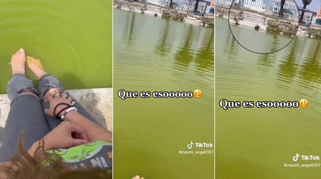 La inesperada escena encendió las redes sociales y se hizo viral en TikTok.