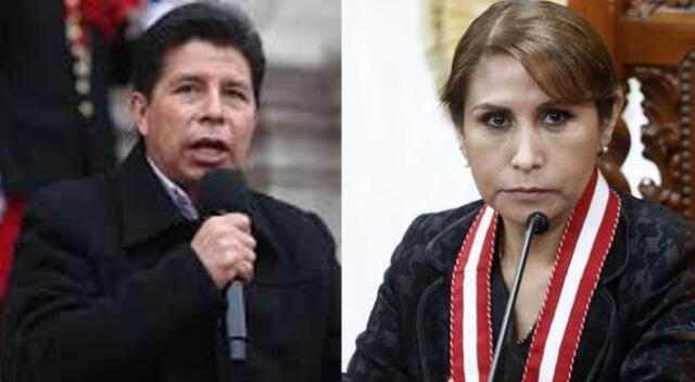 Rechazan pedido del presidente Pedro Castillo para anular denuncia constitucional presentada por la fiscal de la Nación Patricia Benavides