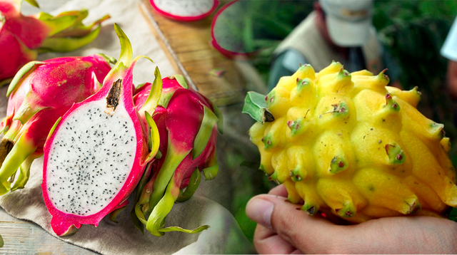 Descubre los beneficios de comer pitahaya y cuáles son sus nutrientes