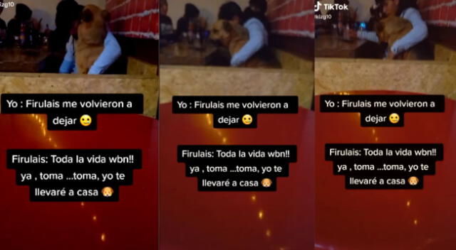 Firulais demostró ser incondicional con su amo.