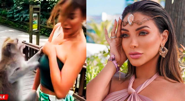 Paula Manzanal es noticia en EE.UU y le dicen 'ex Miss Perú' tras ser golpeada por un mono.