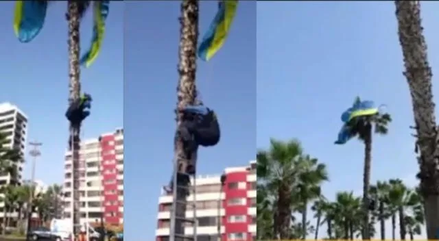 Parapentista colgado en palmera en Miraflores