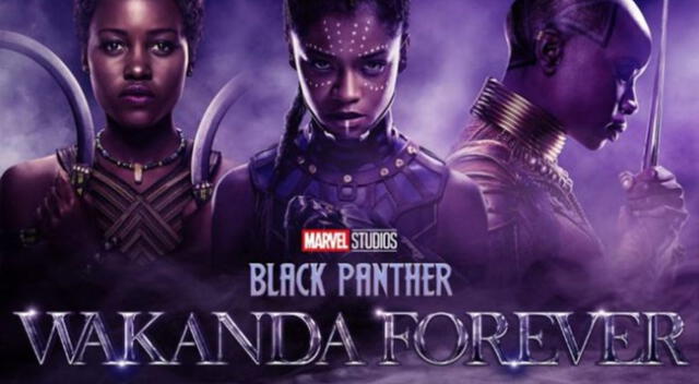 Black Panther: ¿Cuándo se estrenará en Disney+?