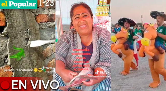 Estos son los videos más vistos de TikTok hoy viernes 25 de noviembre.