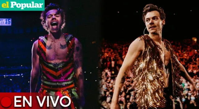 Harry Styles  brindará un show en nuestro país.