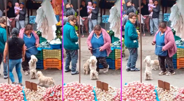 El perrito y la señora se robaron el show en redes sociales.