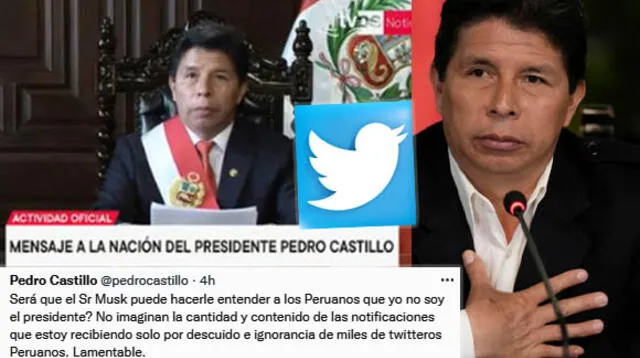 La respuesta se volvió viral en las redes sociales.