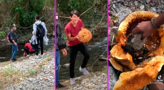 Los jóvenes no imaginaron encontrar ropa al interior de la calabaza.