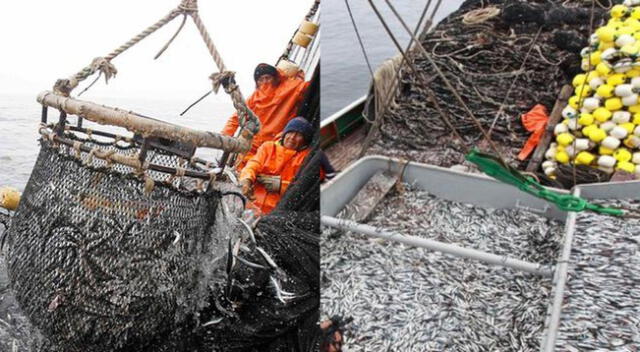 El dirigente señaló que, tras acabar las festividades, los pescadores podrán retornar a sus actividades.