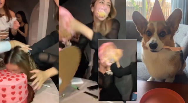 Peculiar escena de un perro en fiesta de cumpleaños se hizo viral.