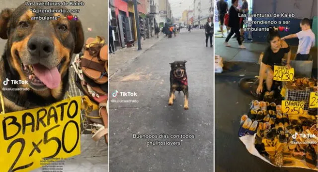 Chulito es un perrito con cáncer que ayuda a su dueña a vender sandalias en el Centro de Lima y se hizo viral en TikTok.