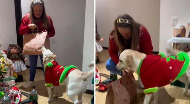 TikTok: el perro quedó contento con sus regalos.