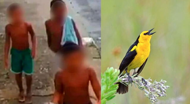 loa niños tuvieron un fatal desenlace al caer en las manos del narcotráfico.