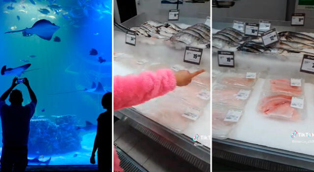 No tuvo dinero para el acuario y la llevó a ver pescados en supermercado.