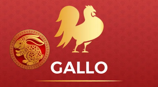 Conoce lo que le deparará este 2023 a El Gallo