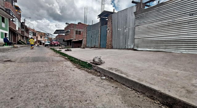 Cusco. De acuerdo a la PNP, la víctima no tenía sus órganos vitales al momento de ser hallada cercenada.