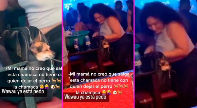 La mujer no dejó de lado a su perrito y se lo llevó a la fiesta.