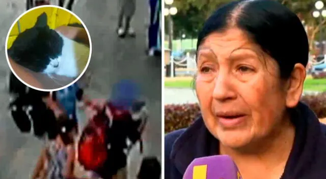 Chorrillos. La madre de familia le pide al menor y a su madre que le devuelvan a su gatita.