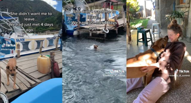 Una perrita se ha vuelto viral en TikTok tras lanzarse al mar para segur a turista que conoció.
