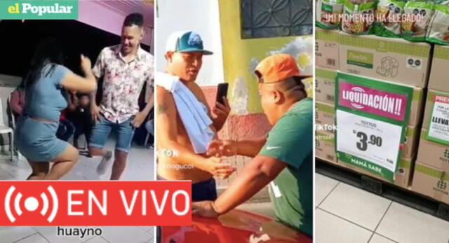 Los mejores videos que causan sensación en las redes sociales.