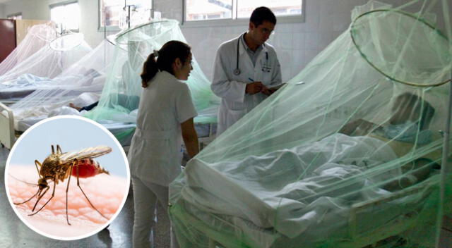 13 regiones del Perú fueron declarados en emergencia sanitaria
