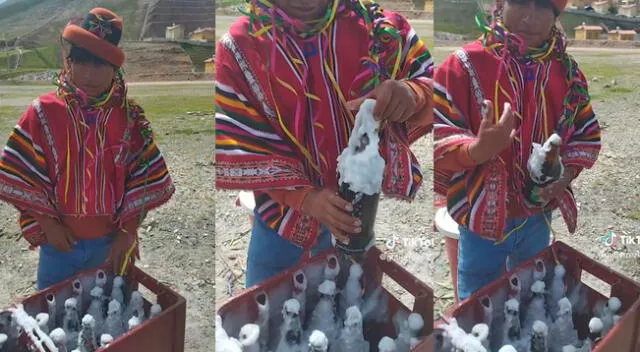 Video viral: hombre demuestra que la cerveza se pone helada sin ningún artefacto.