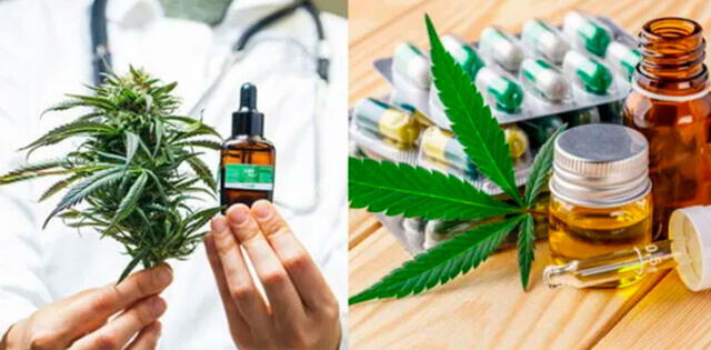 Solo farmacias autorizadas podrán comercializar productos con cannabis y sus derivados.