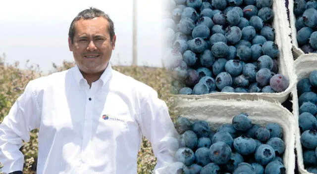 Carlos Gereda fundó su empresa Inka's Berries en el 2009.
