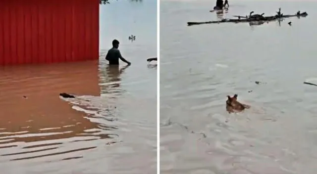 El ciclón Yaku viene provocando torrenciales lluvias en Lambayeque y, a su vez, el desborde del río La Leche.