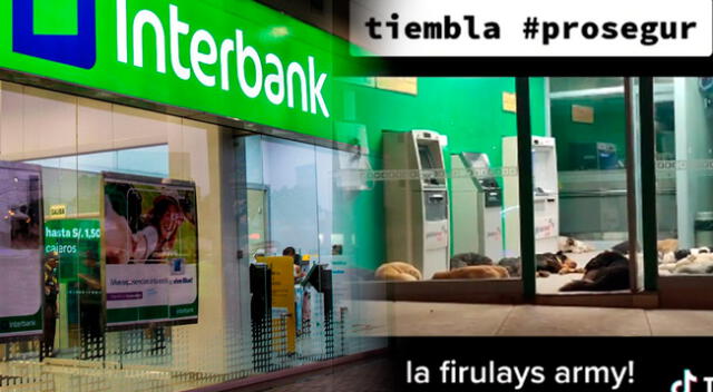 Interbank: perros van a dormir en el banco.