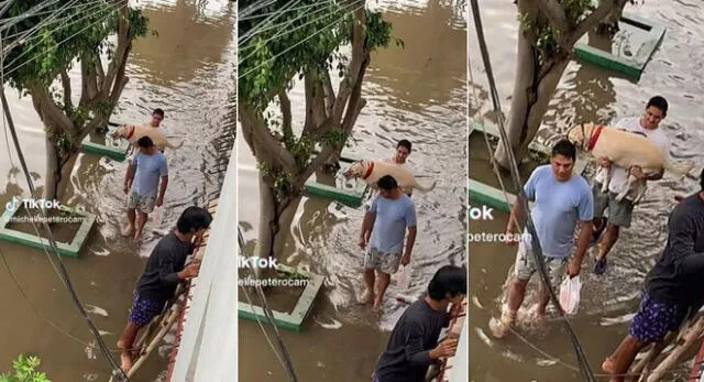 El joven peruano llevaba entre sus brazos a su perrita para que no se ensucie y escena es viral en TikTok.