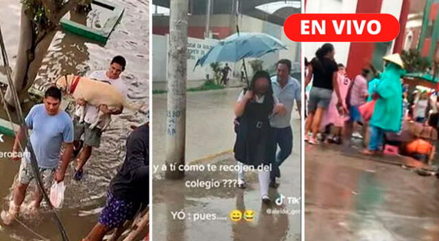 TikTok viral: mira todo lo nuevo y mejor de la red social.