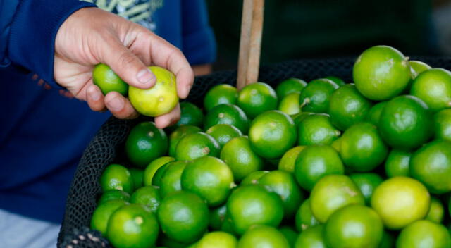 El precio del limón supera los S/ 15 tras las intensas lluvias y huaicos en el norte del país.