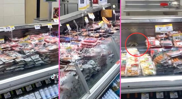 Una rata fue captada corriendo sobre los embutidos de Metro y escena es viral en TikTok.