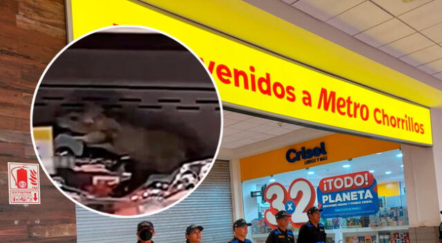 Metro de Chorrillos se pronunció tras la presencia de ratas en su establecimiento ubicado en Plaza Lima Sur.