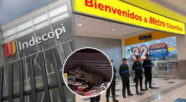 Indecopi se pronuncia sobre presencia de ratas en Metro de Chorrillos.