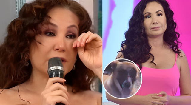 Janet Barboza se quiebra por perrito que quedó deformado tras huaico en Jicamarca