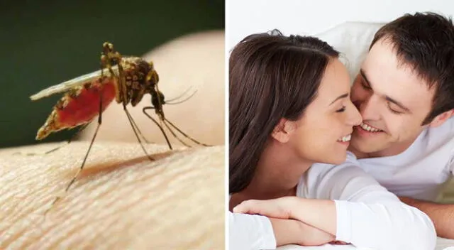 El dengue se transmite a través de la picadura de un mosquito infectado.