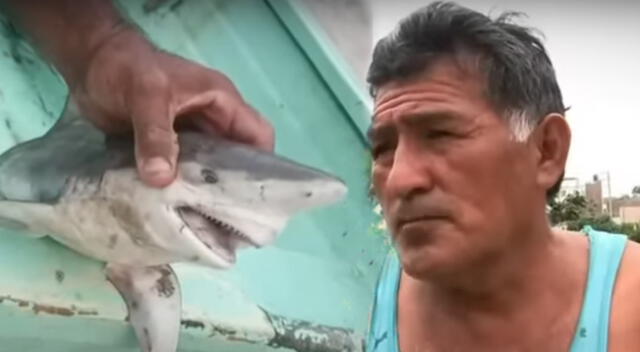 Presencia de tiburones en Punta Hermosa ha dejado a pescadores preocupados.